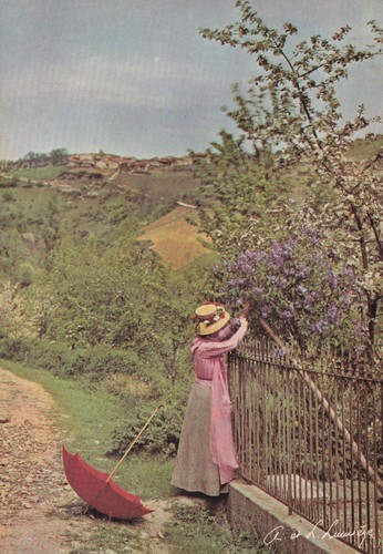 Lumiere brothers autochrome - brothers,