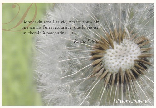Rosette poletti quote postcard - poletti,