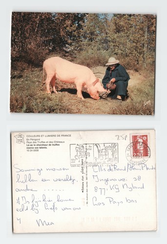 Vintage postcard perigord - vintage,