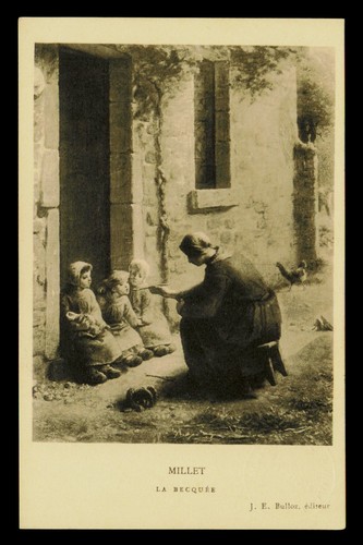 Millet becquee feeding - millet,